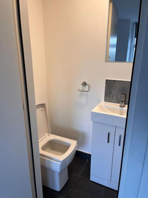 The Serviced Accommodations Harlow Luaran gambar
